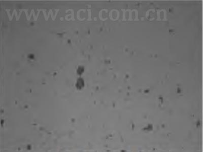 CANTY撬装式水中油-油中水-多相油- 产出水-油砂测量系统