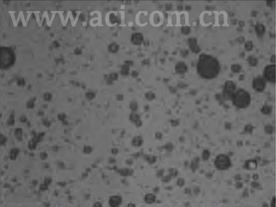 CANTY撬装式水中油-油中水-多相油- 产出水-油砂测量系统