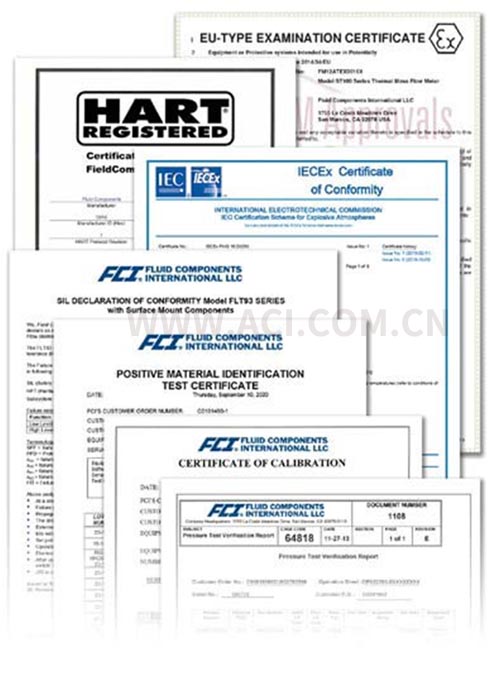 FCI热式质量流量计